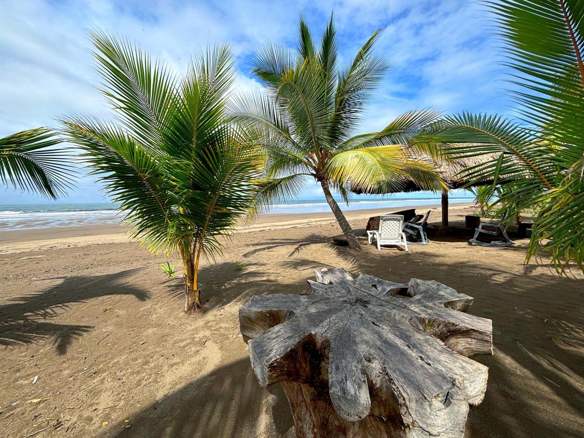 Апартаменты Royal Palm Retreat Cabrera Экстерьер фото
