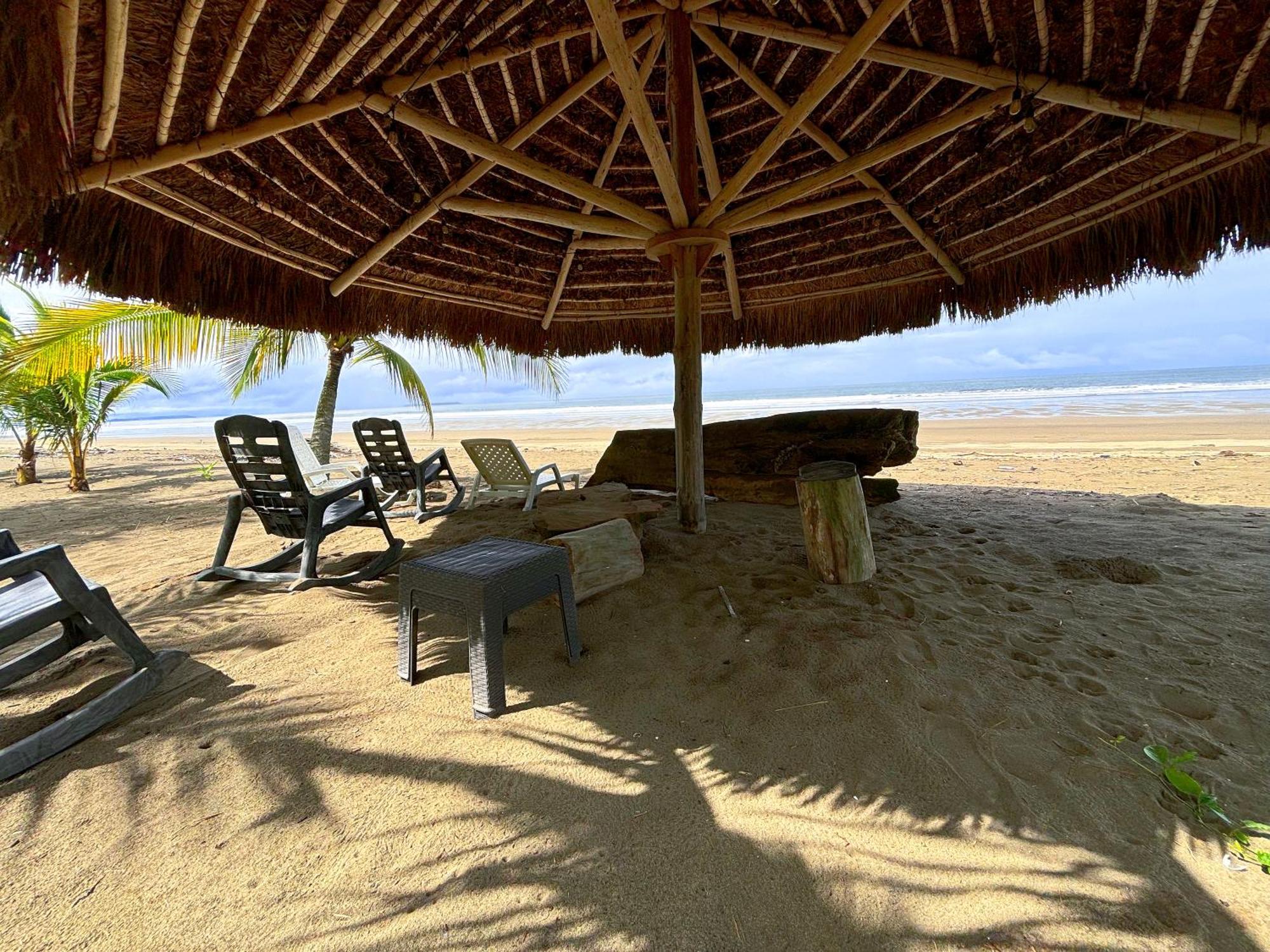 Апартаменты Royal Palm Retreat Cabrera Экстерьер фото