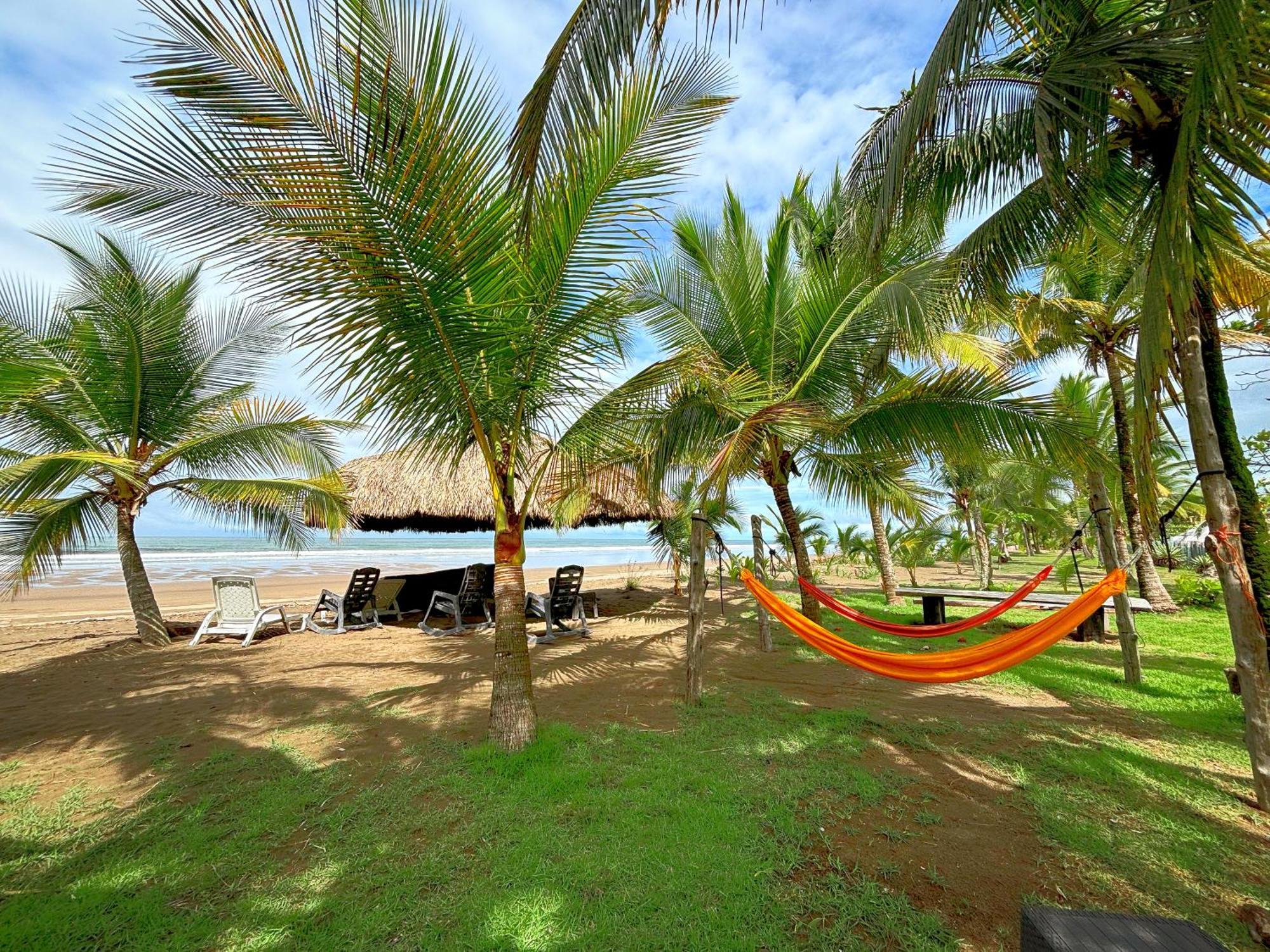 Апартаменты Royal Palm Retreat Cabrera Экстерьер фото